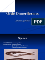 Ordo Osmeriformes