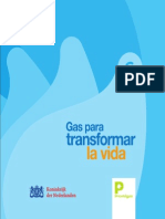 Gas para Transformar La Vida PDF