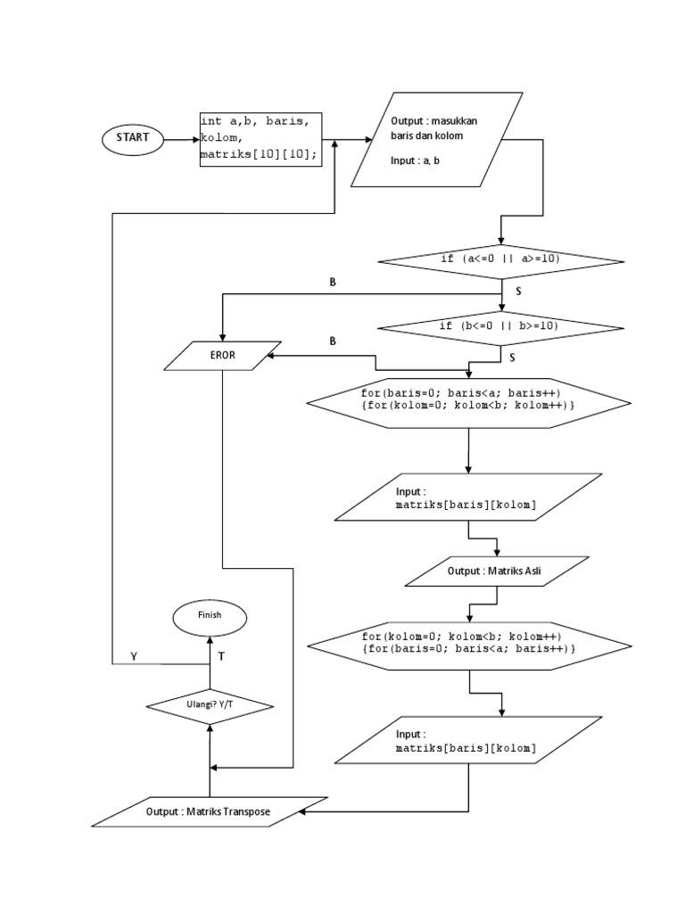 Matrix Input and Transpose Guide | PDF