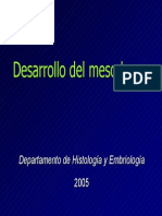 Desarrollo Mesodermo