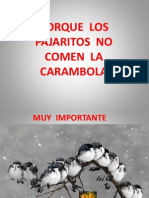 Muy Importante La Carambola