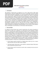 Download Principles of Natural Justice project by Abbas Haider SN218448238 doc pdf