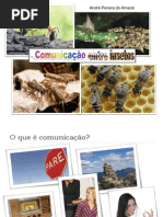 Seminário Comunicacao em Insetos