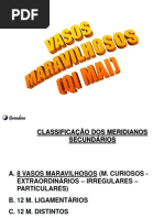VASOS_MARAVILHOSOS