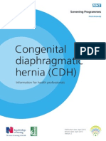 Congenital Diaphragmatic Hernia (CDH) Information For Health Professionals