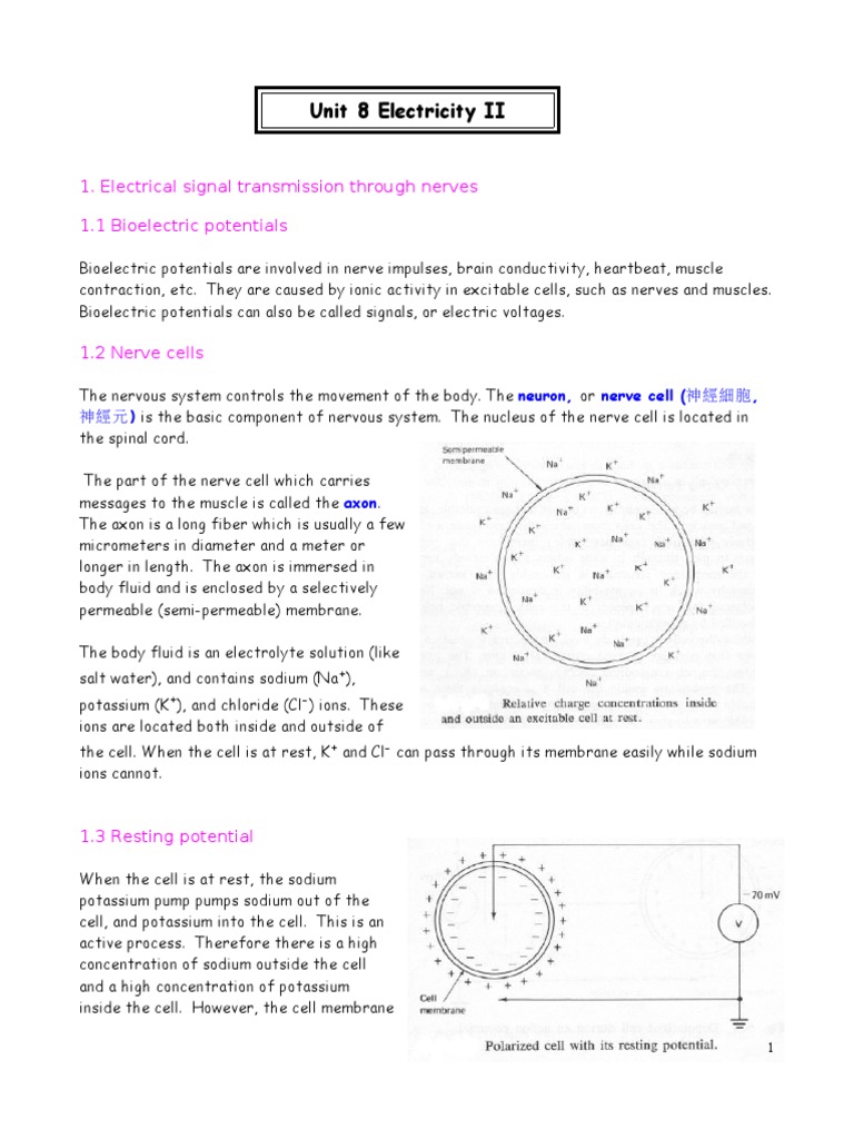 Unit 8 Electricity II | PDF