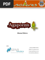 Agapornis
