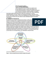 Habilidades de Un Gerente de Proyecto Exitoso