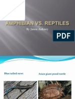 Amphibian Vs