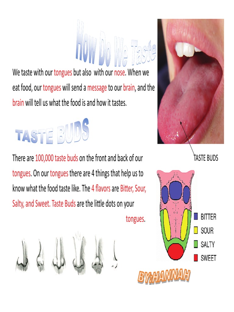 How Do We Taste | PDF