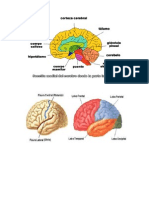 Imagenes Laboratorio