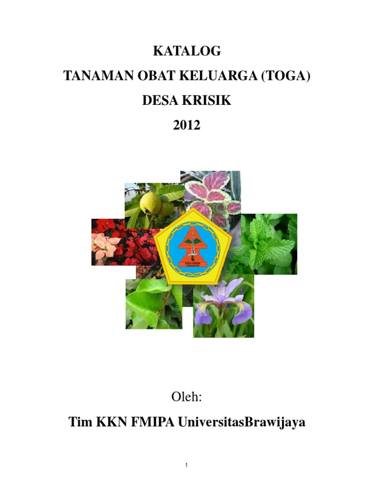 Katalog Toga