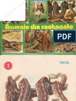 Animale Din Continente