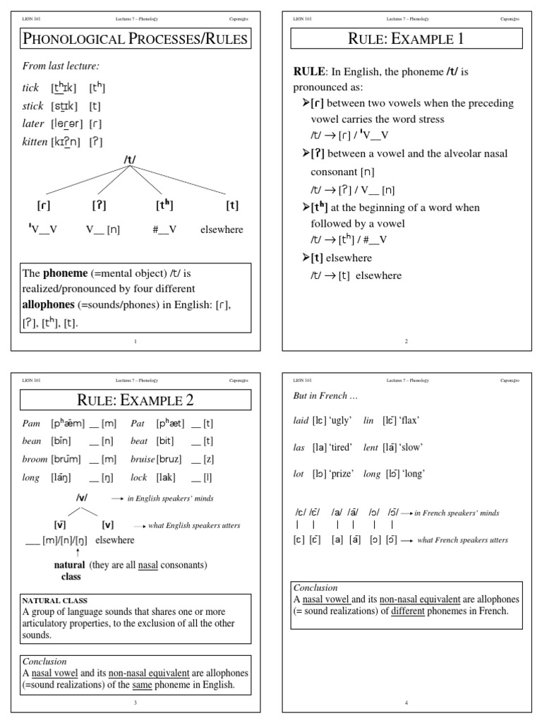 Phonological Processes in English | PDF | Phoneme | Consonant