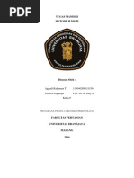 Teknologi Produksi Benih Jagung Hibrida Fix Docx