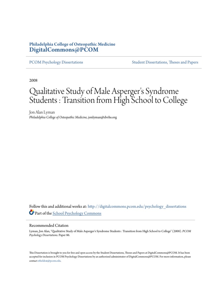 What is a dissertation image