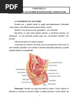 Neoplasm Prostata