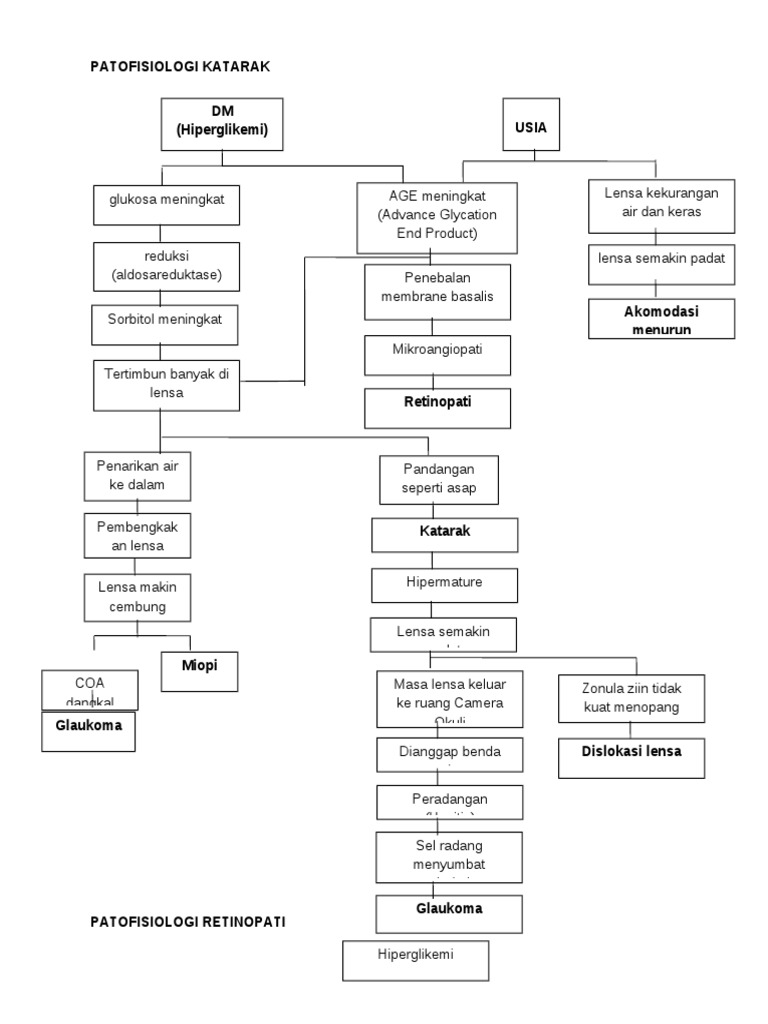 Patofisiologi Katarak dan Retinopati | PDF