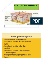 03 Integumentari