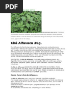 Download Alfavaca Para Que Serve by CARDEA JANUS SN218635949 doc pdf