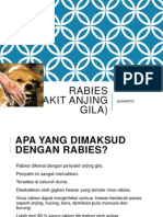 Rabies Penyakit Anjing Gila