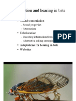 Echolocation and hearing adaptations in bats