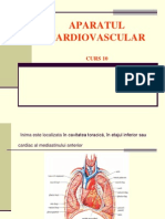 Aparatul Cardiovascular Curs 10