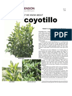 Coyotillo.pdf_1201 (1)