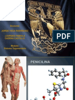 Penicilin A