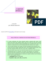 Malattie Da Carenze Ed Eccessi Minerali PDF