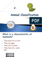 animal classification