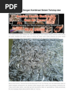 Download Budidaya Lele Dengan Kombinasi Sistem Tertutup Dan Bioflok by Arif Fahrudin SN218729572 doc pdf