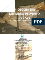 Anatomia de Miembro Pelviano Del Ave (Diseccion Academica) C. Miguel Sejin Soto MVZ Esp - Carlos Julio Sejin Puche MVZ Esp.