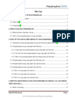 166394549-Polyphospate-Tac-giả-Nguyễn-Việt-Em-Trường-Đại-học-SPKT-Tp-HCM-2012.pdf