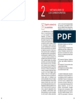 El Metabolismo de Los Hidratos de Carbono