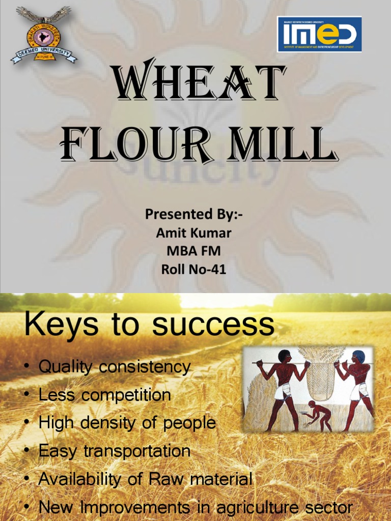 business plan for wheat production
