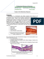 Patho Chapter Inflammatory Response