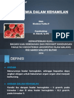 Anemia Dalam Kehamilan