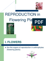 Reproduction in Flowering Plants