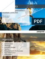 Patagonia: Defining The Organization's Strategic Direction