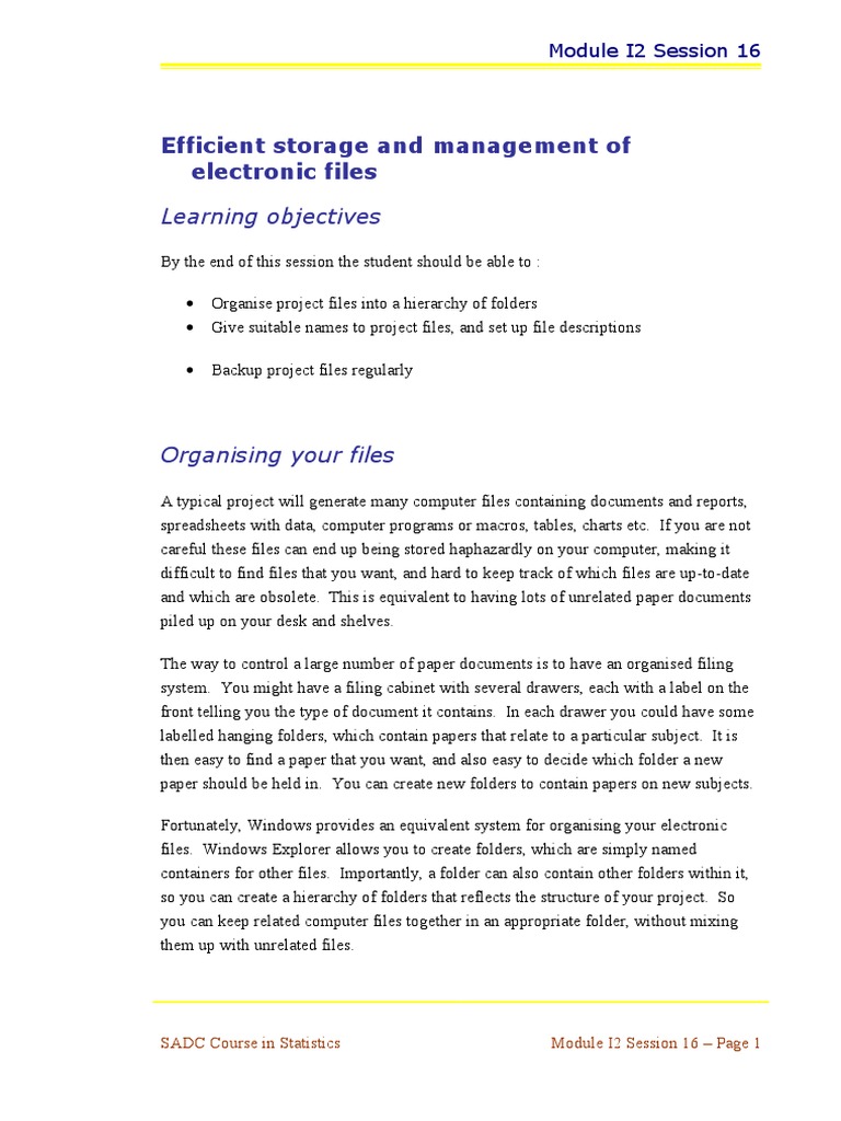 Organizing Electronic Files Efficiently | PDF | Computer File ...