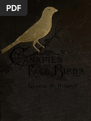 Canaries Cage Birds George H Holden 1888 Birds Parrot