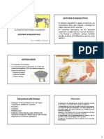 Sistema Esqueletico 2014 - I