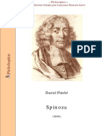 Spinoza Pimbe