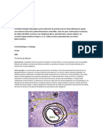 Datos de Citologia y Corte Del Ovario