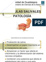 Glandulas Pato