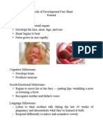 Ece497 Prenatal Fact Sheet Final