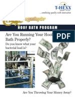 Dragonhyde Hoof Health Program Brochure 