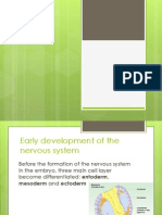 Earlydevelopment of The Nervuos System