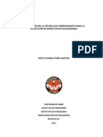 PenaSantosDeyciYamile2012 PDF